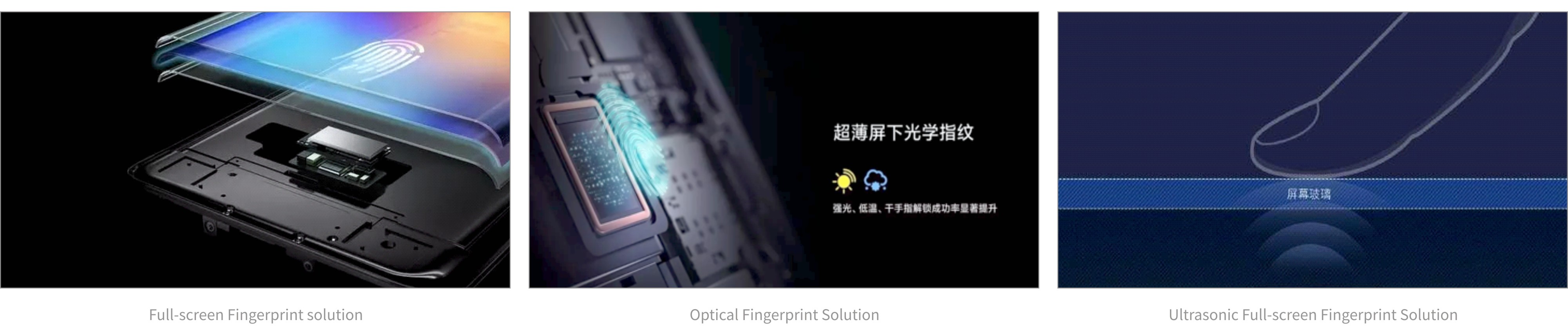 xxpayǮ������