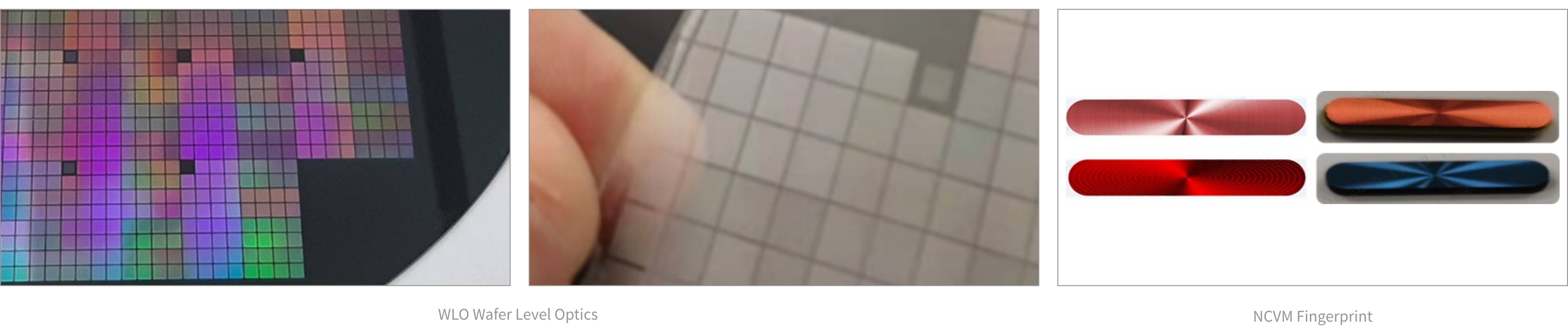 xxpayǮ������