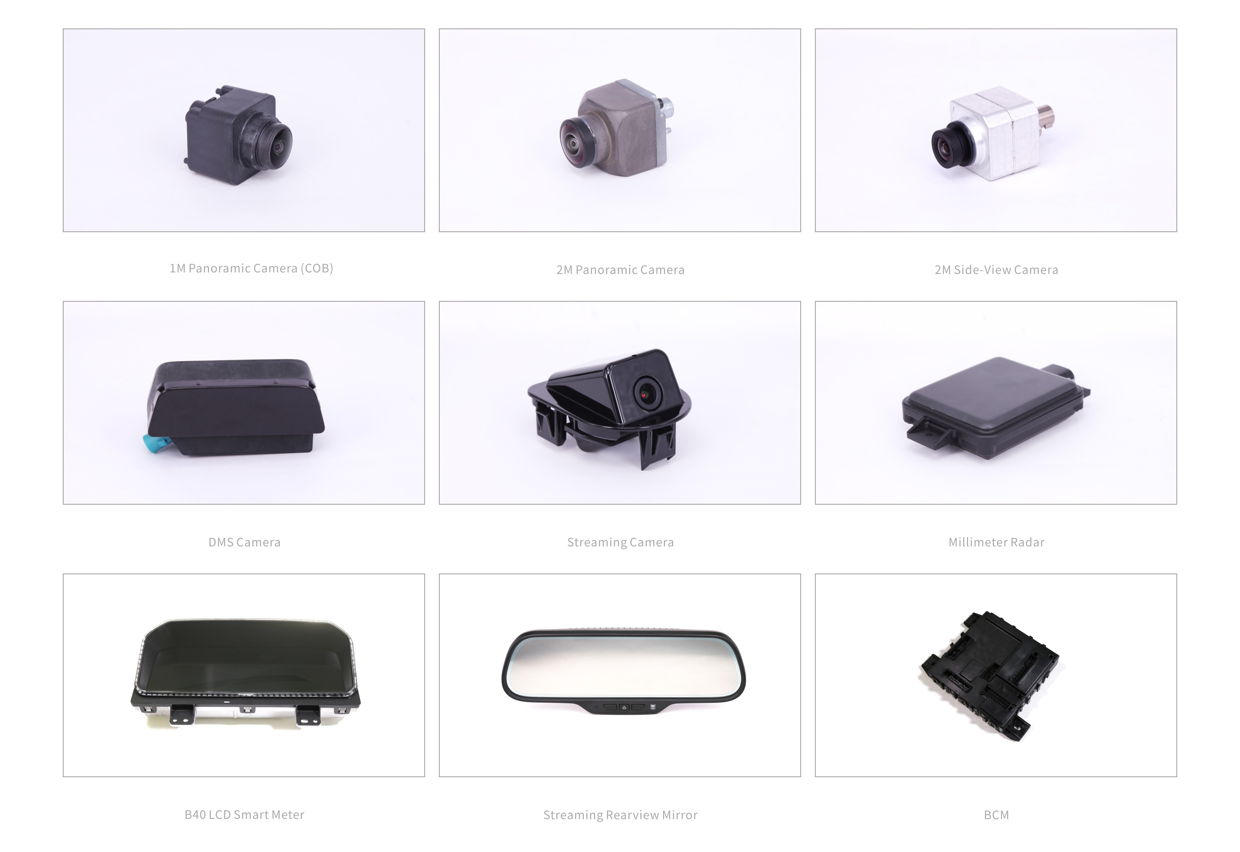 xxpayǮ������