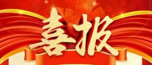 助力客户拿下药品出产批件，Z6尊龙凯时药学服务赢得新年开门红！