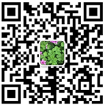 2024030413160938 临床钻研业务
