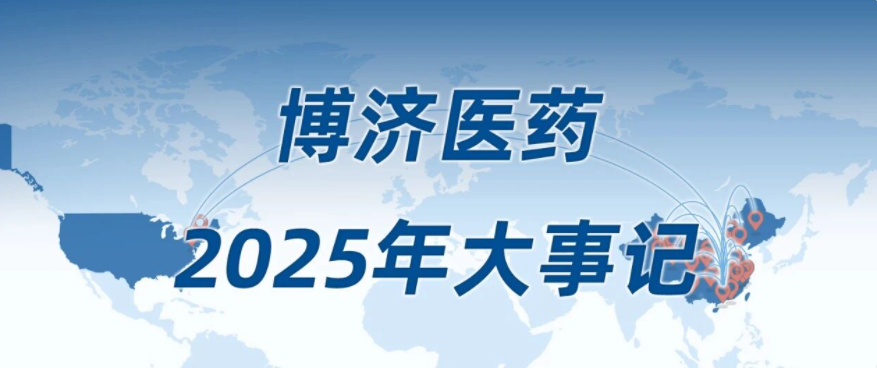 2025，这一年我们一路走过